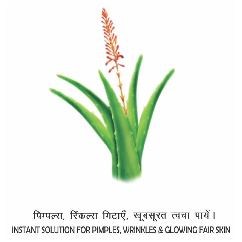 Patanjali Saundarya Aloe Vera Gel Kesar Chandan, 60 ml-2.webp